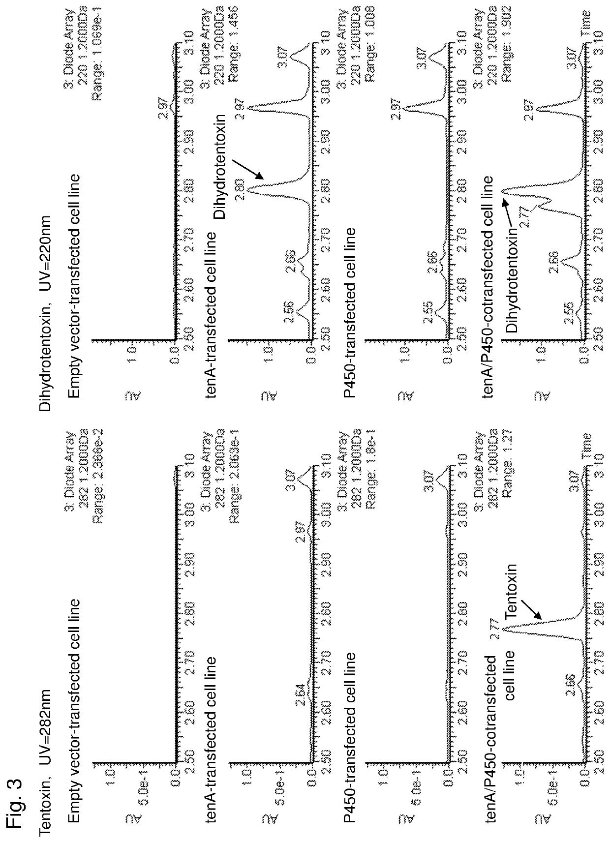 Tentoxin synthesis gene, a method for producing tentoxin or dihydrotentoxin using the same, and a transformant comprising the same