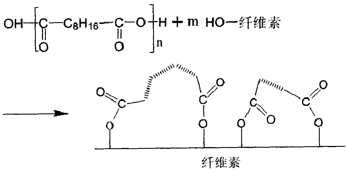 Water-resistant wood-plastic composite material and preparation method thereof