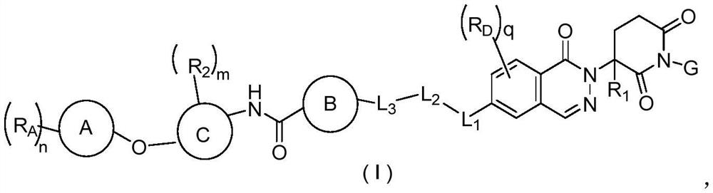 Phthalazinone compound as well as preparation method and medical application thereof