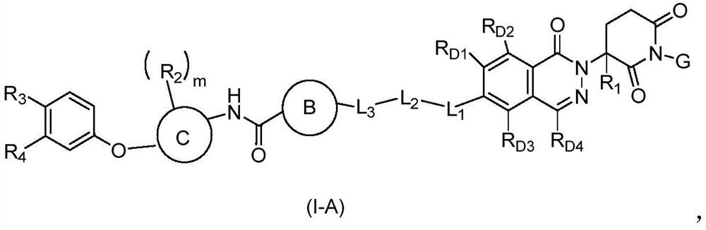 Phthalazinone compound as well as preparation method and medical application thereof