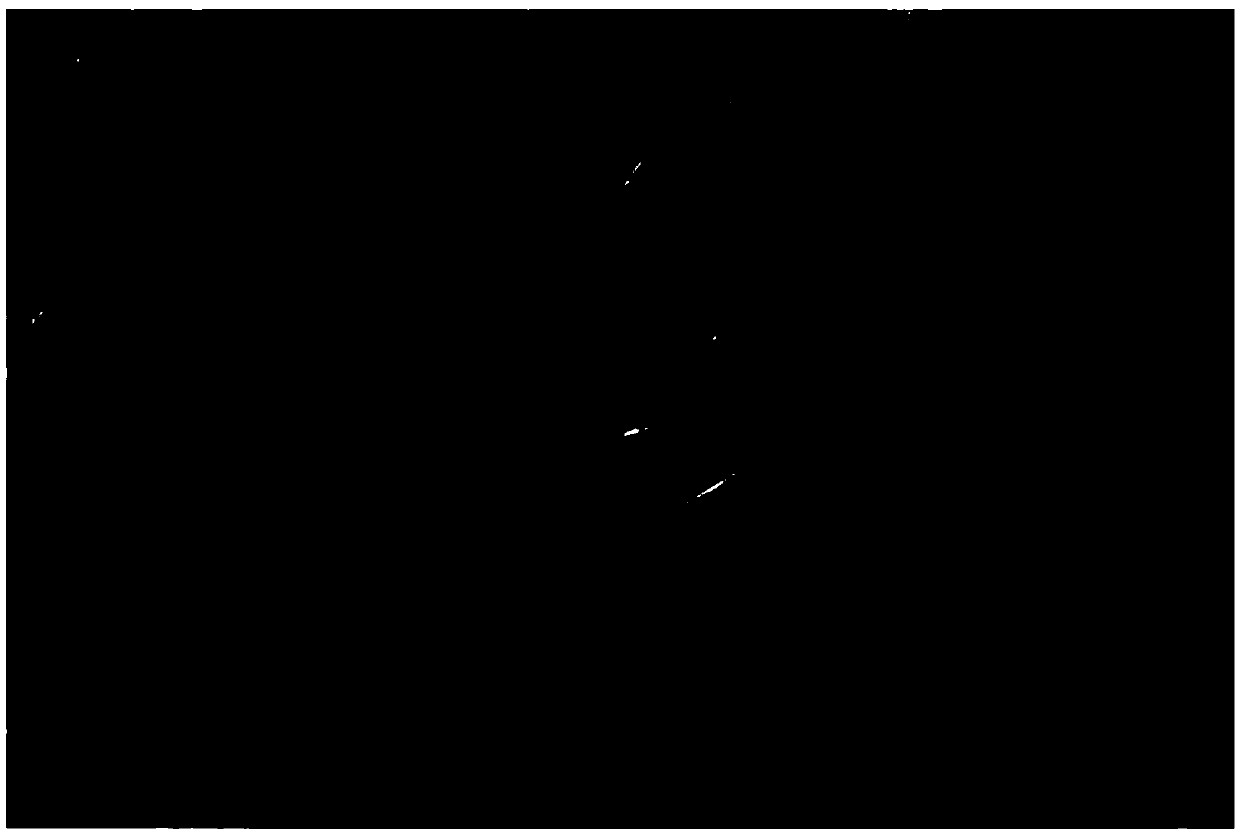 Graphene electric-conduction ink preparation method, graphene electric-conduction ink film and graphene electric-conduction ink film composite material film