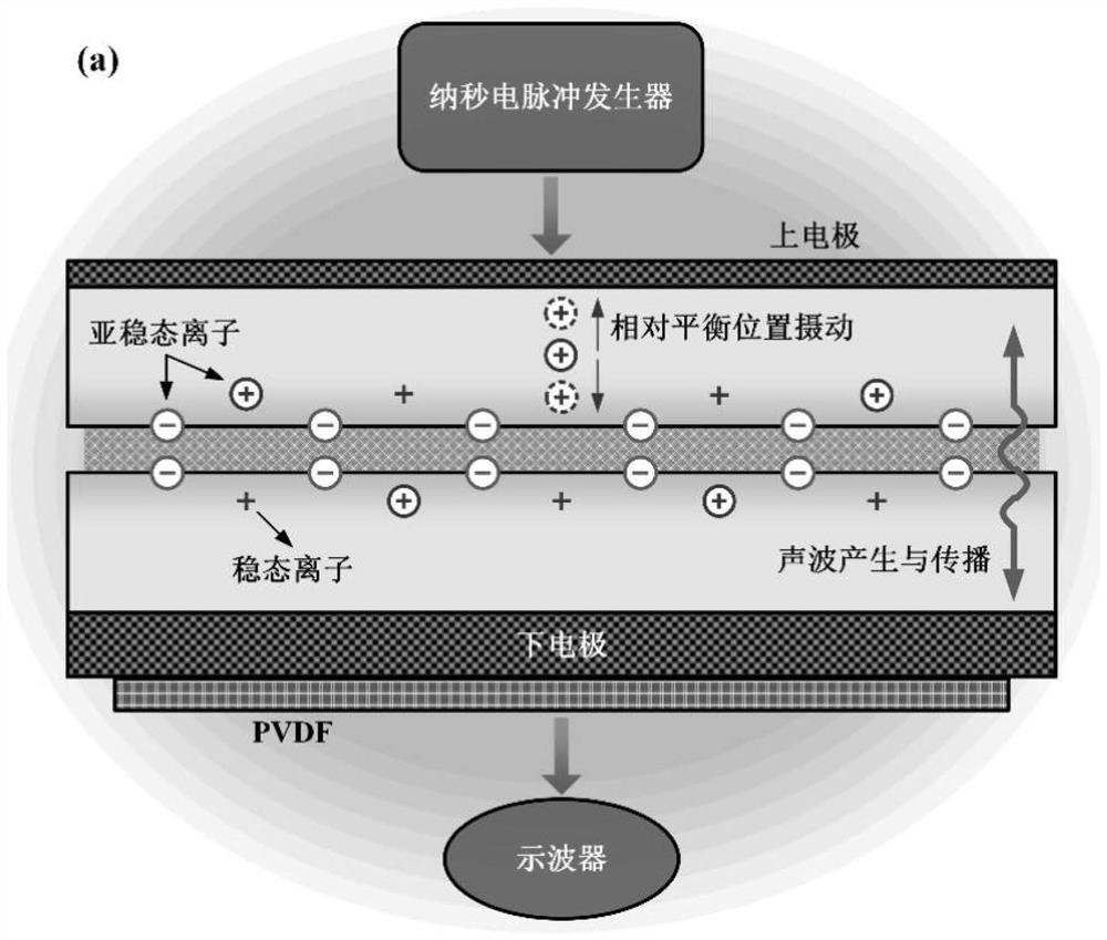 Observation Method of Ion Migration Behavior in Zinc Oxide Grain Boundary Aging Process