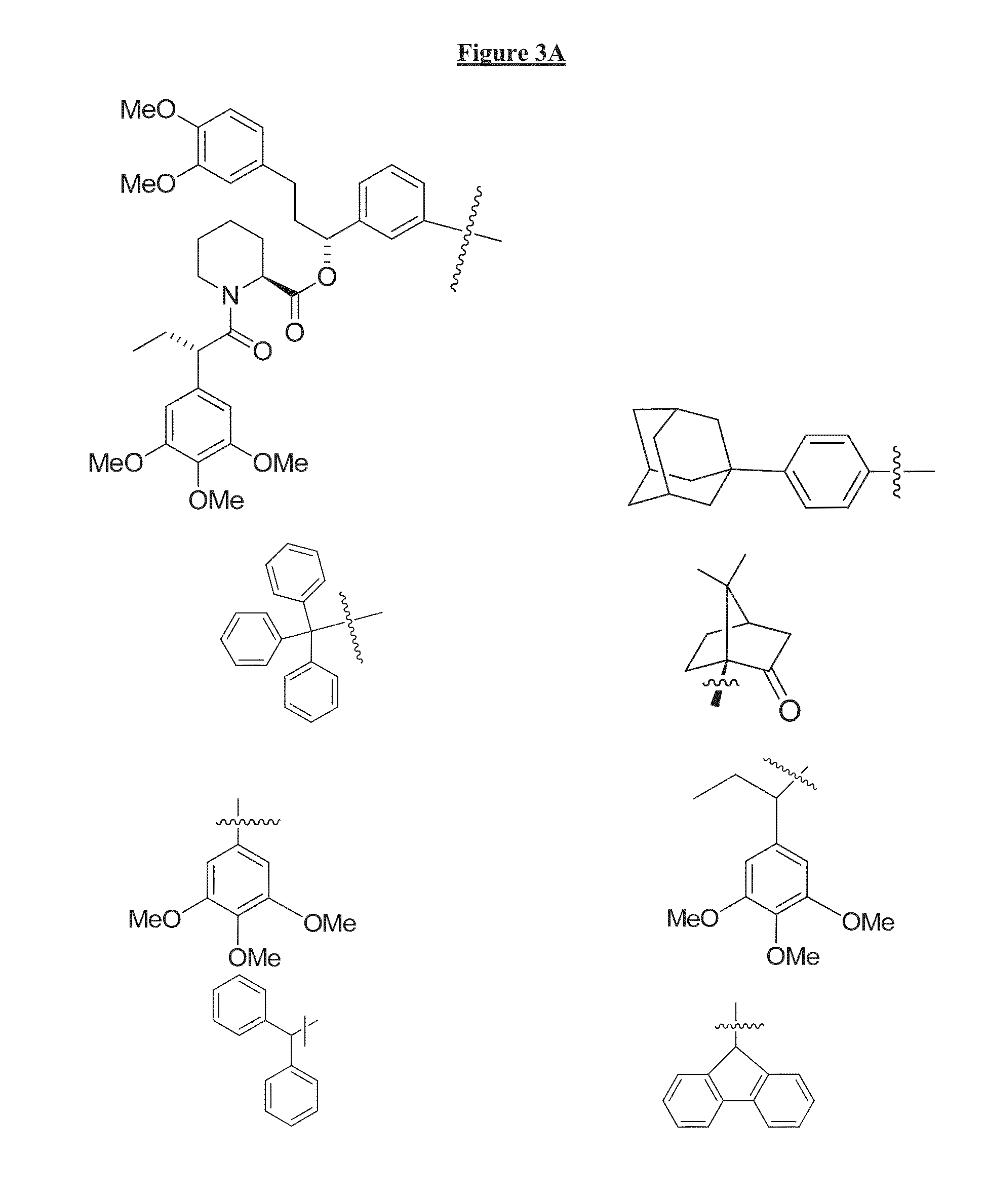 Compounds Useful for Promoting Protein Degradation and Methods Using Same