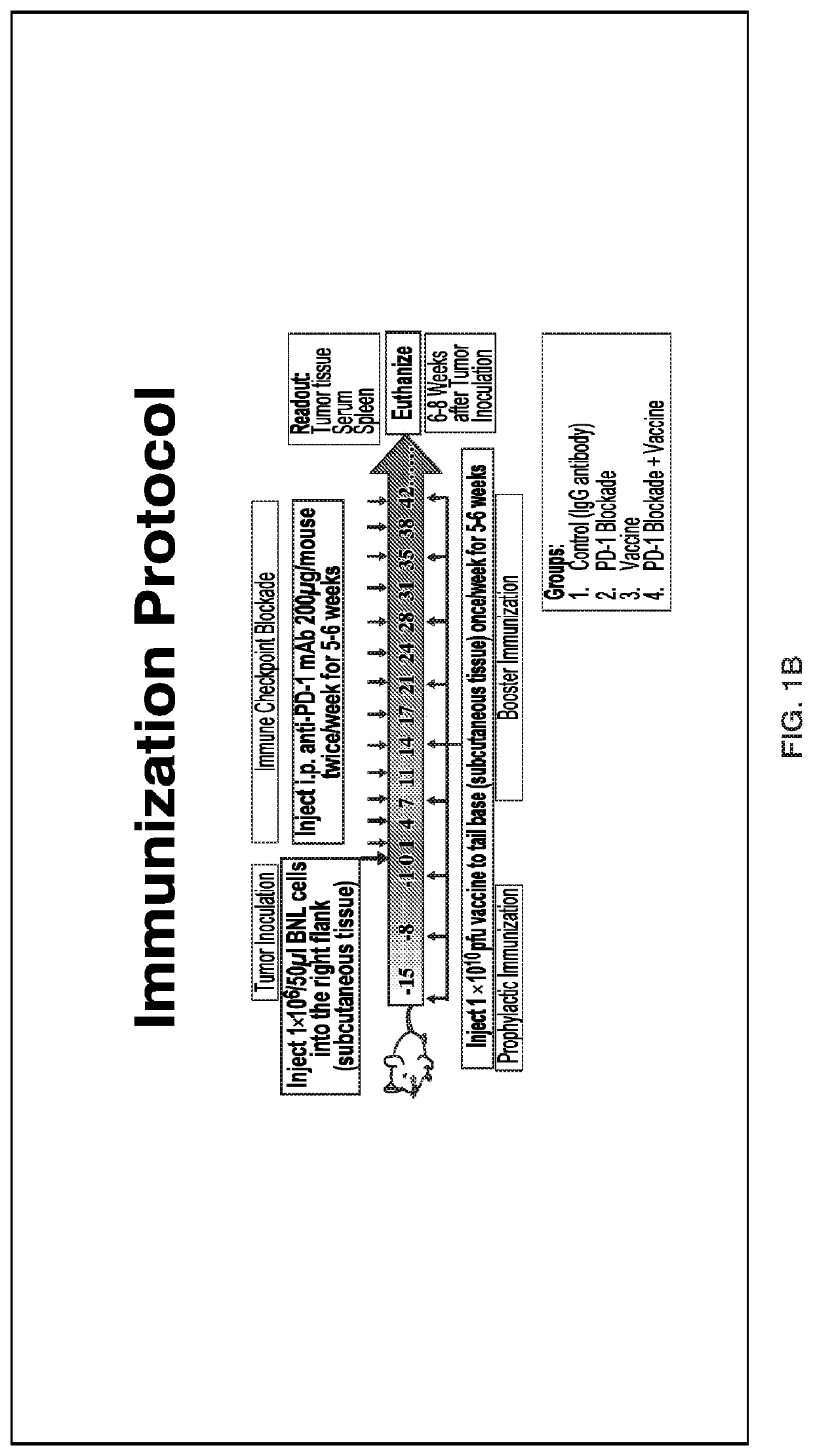 Inhibition of asph expressing tumor growth and progression