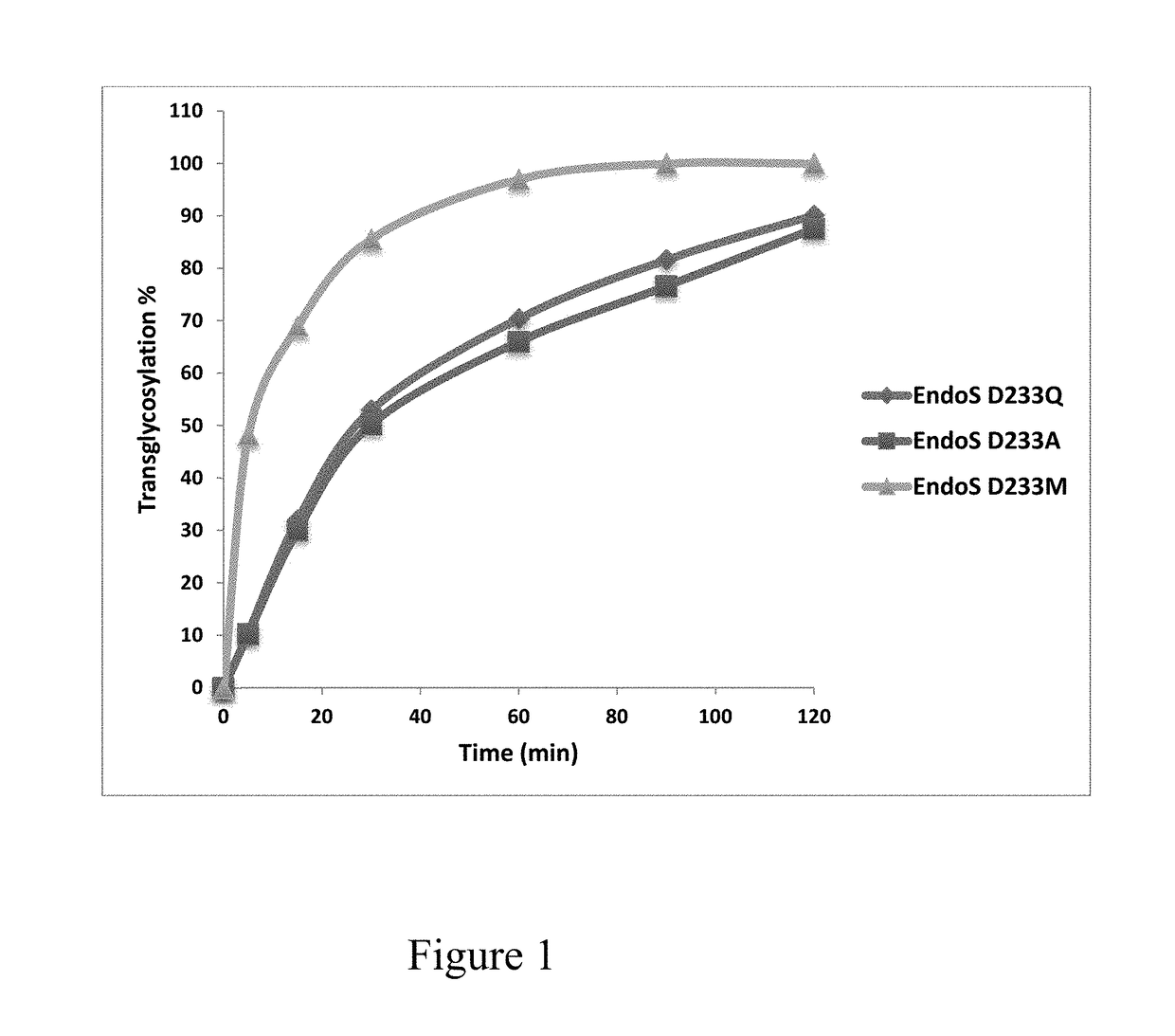 Generation and comparative kinetic analysis of new glycosynthase mutants from streptococcus pyogenes fndoglycosidases for antibody glycoengineering