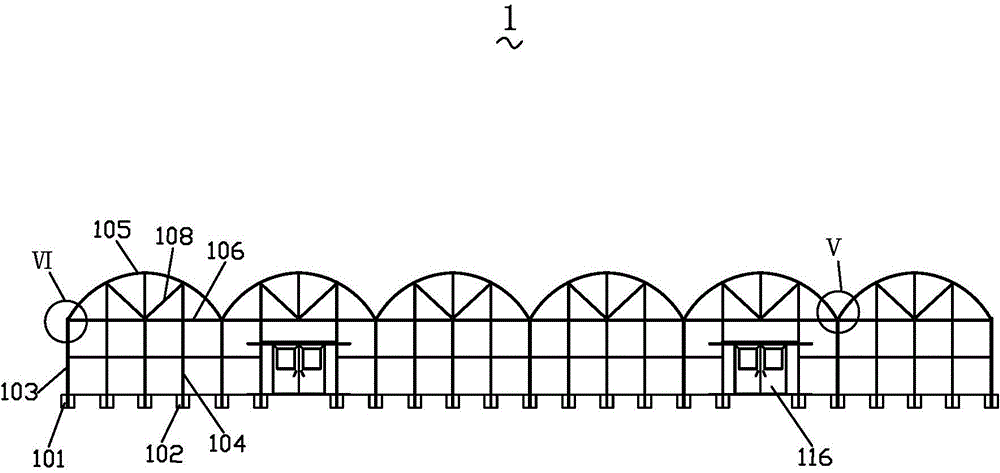 Greenhouse special for wax apples