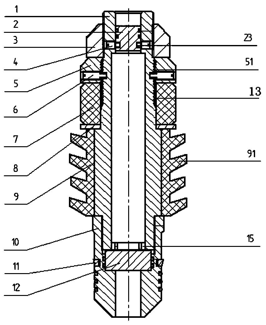 Controllable dissolvable well cementation rubber plug