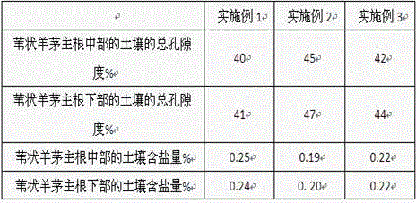 Root salt controlling method with medical stone percolation layer and application of root salt controlling method to planting of festuca arundinacea in saline-alkali soil