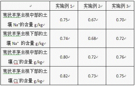 Root salt controlling method with medical stone percolation layer and application of root salt controlling method to planting of festuca arundinacea in saline-alkali soil