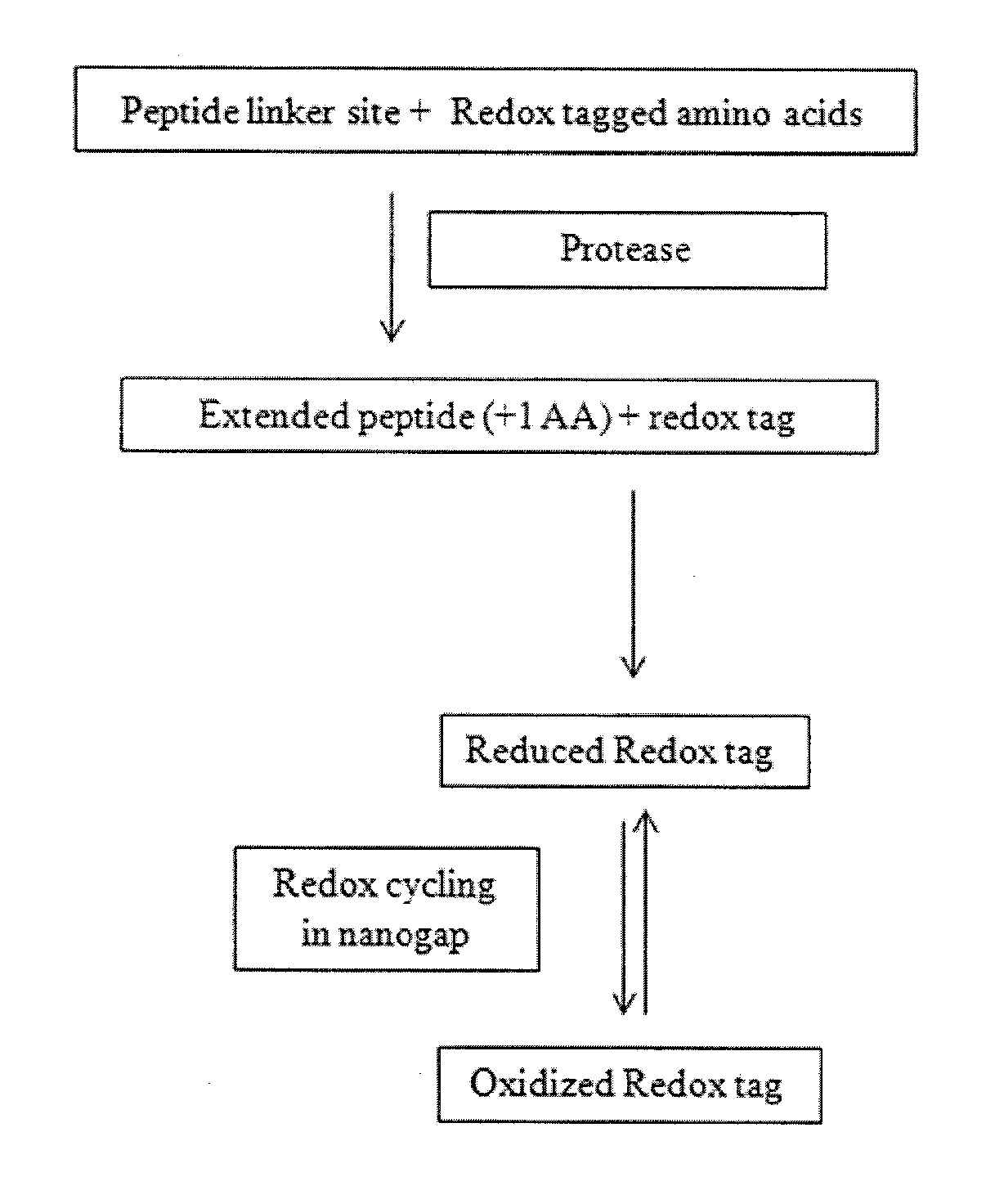 High throughput biochemical detection using single molecule fingerprinting arrays