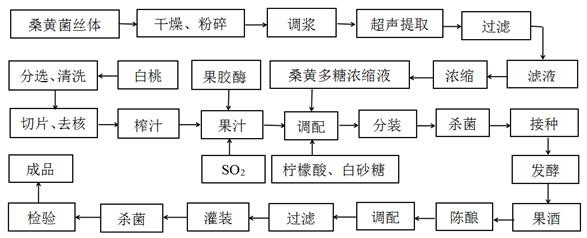 Preparation method of white peach and phellinus igniarius wine