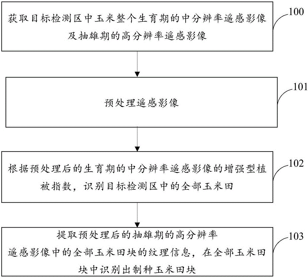 Identification method of corns for seed on the basis of high resolution remote sensing data texture analysis