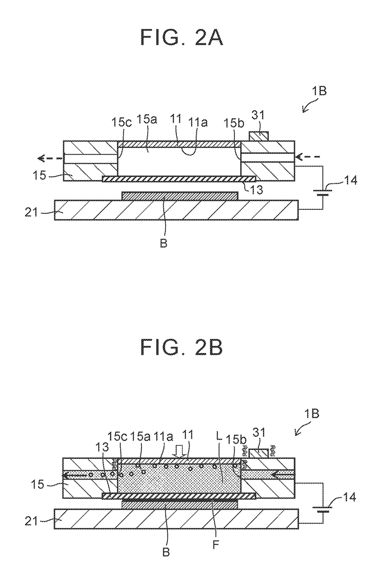 Film forming apparatus and film forming method