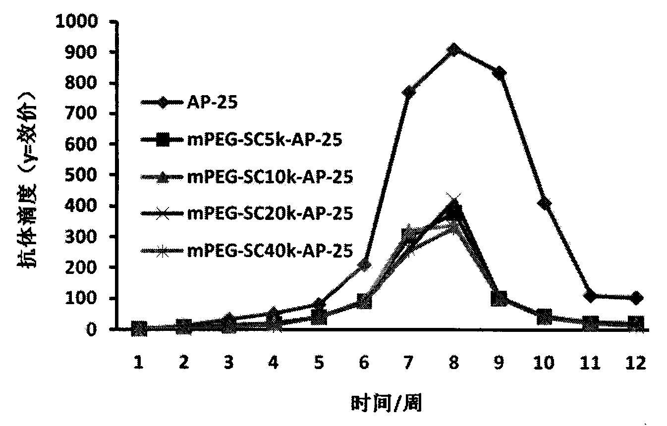 Integrin blocking agent AP-25 expressed by modification of polyethylene glycol and protein fusion and its application