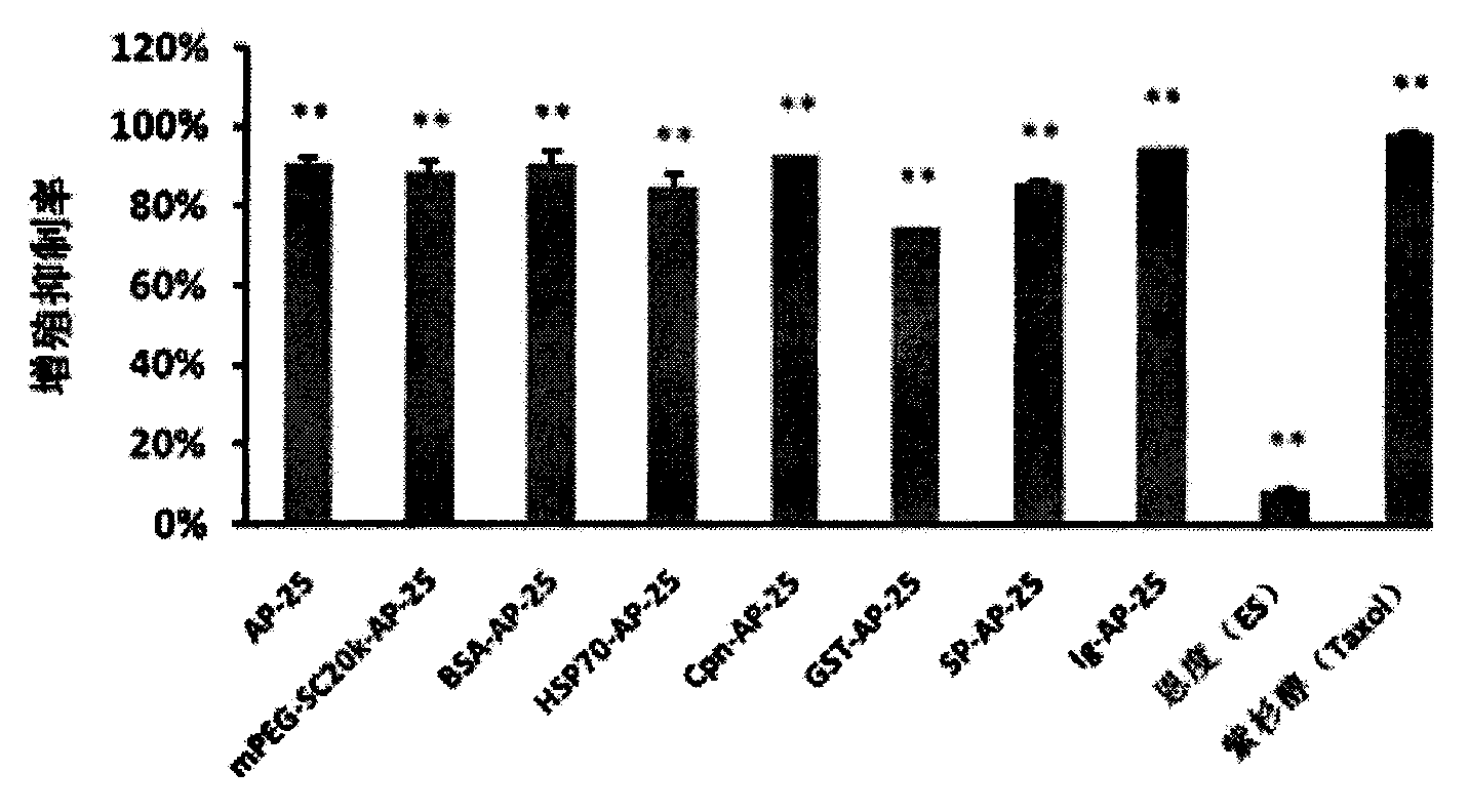 Integrin blocking agent AP-25 expressed by modification of polyethylene glycol and protein fusion and its application