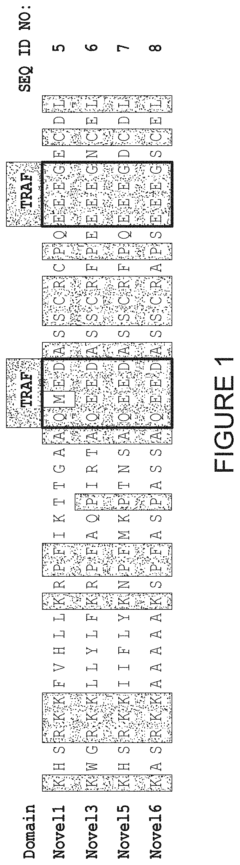 Co-stimulatory domains for use in genetically-modified cells