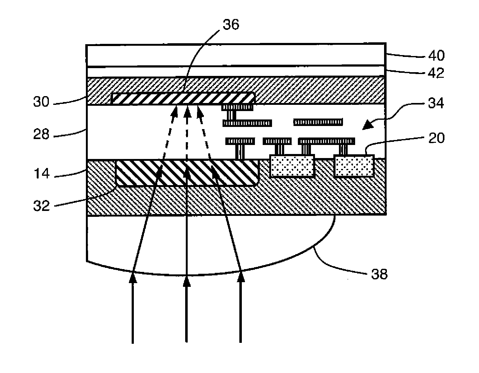 Visible and near-infrared radiation detector