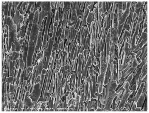 A method for preparing glass-ceramics by using molten blast furnace slag