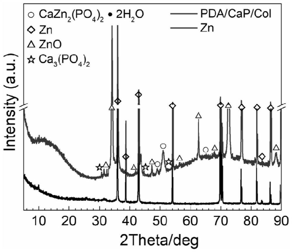 Method for preparing functional coating for promoting bone repair and regeneration on degradable metal surface