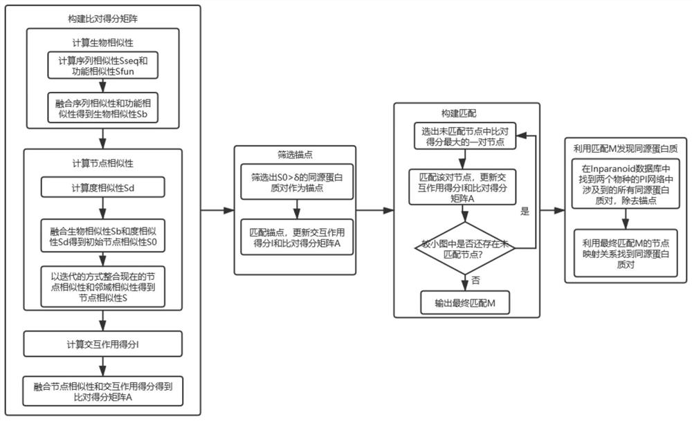 Homologous protein detection method based on biological protein information network comparison