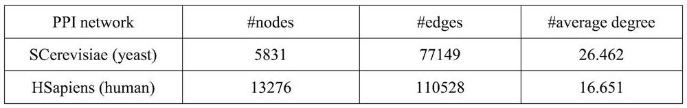 Homologous protein detection method based on biological protein information network comparison