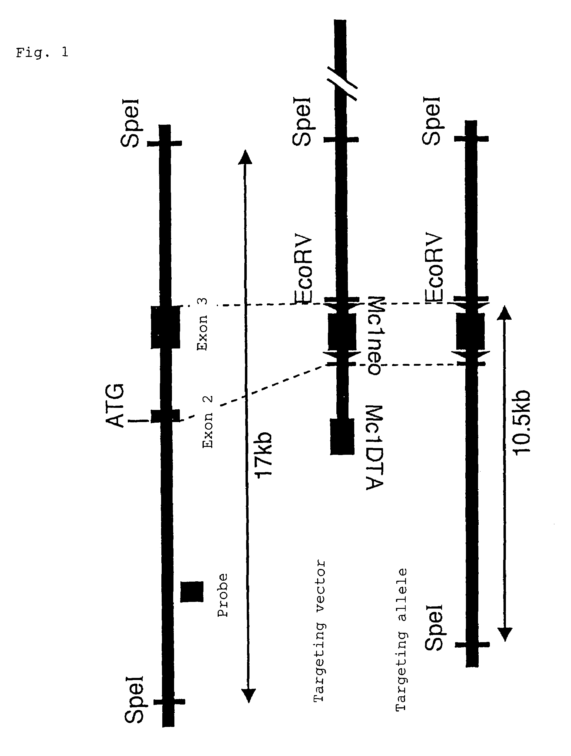 Method for treating arteriosclerosis