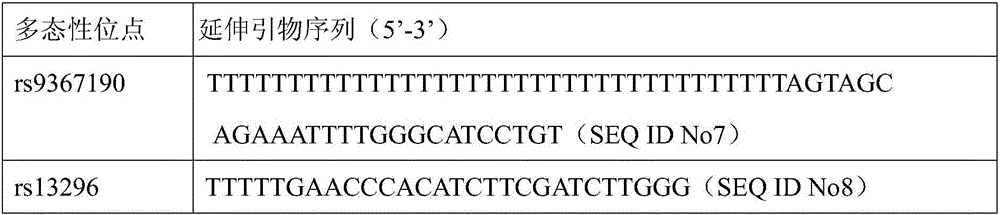 Kit for predicting curative effect of glucocorticoids on curing SLE (Systemic Lupus Erythematosus) on basis of HSP90AB1 genotype