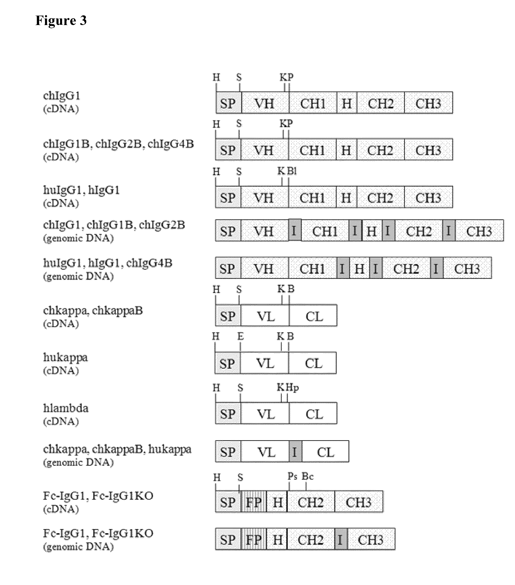 Novel intron sequences