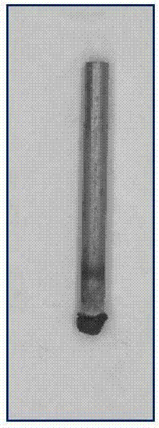 Temperature controllable method and system for testing burning behavior of metal material