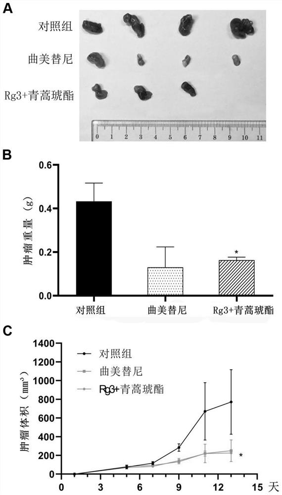 New application of artesunate and composition containing artesunate