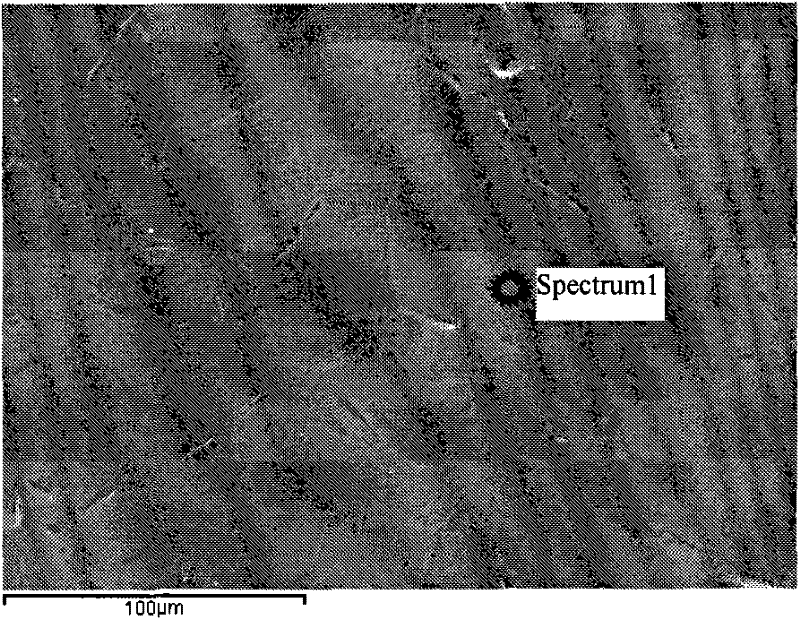 Method for Removing Oxide Skin on the Surface of Titanium/Titanium Alloy Strip