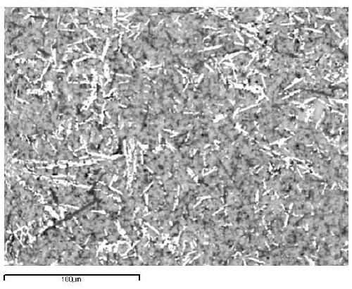 A kind of aluminum borate whisker reinforced zinc-based alloy composite material and preparation method thereof