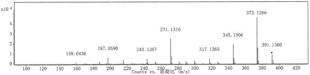 Medicine having brain protection effect, and preparation method thereof