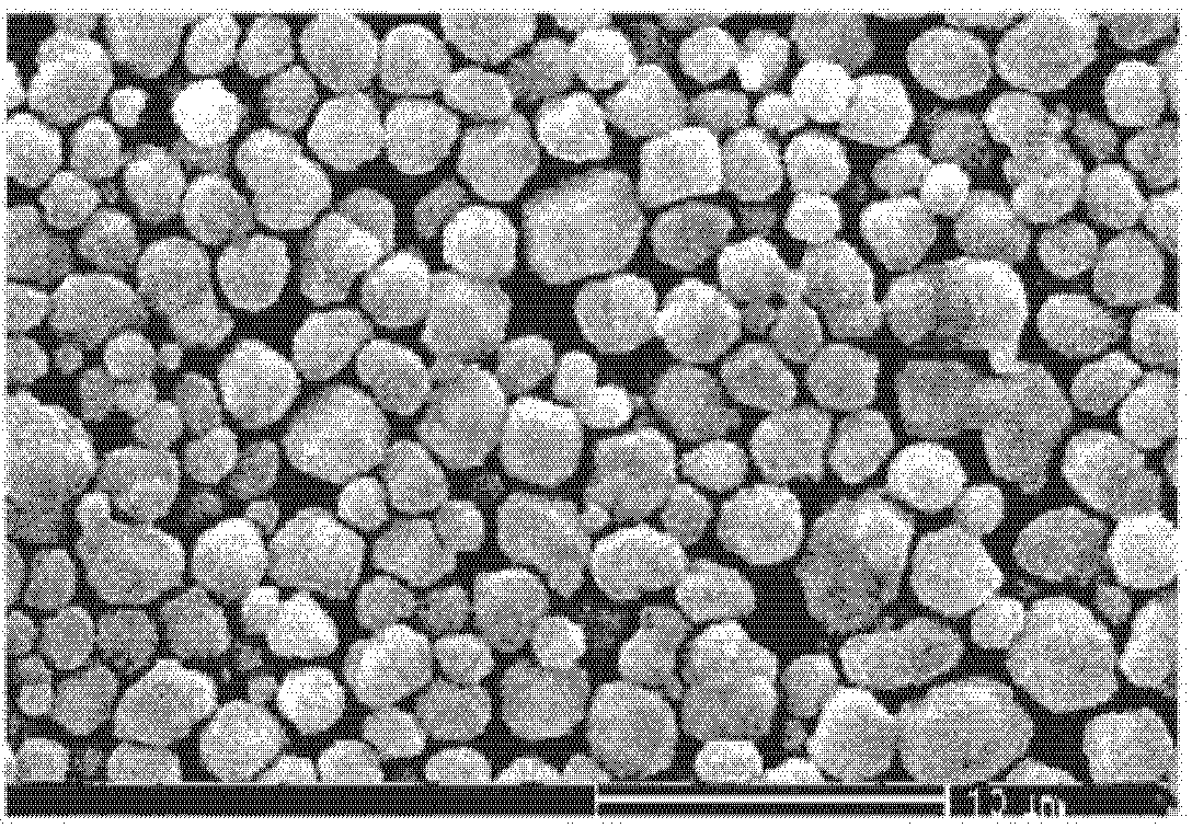 Preparation method of high dispersibility superfine silver powder with adjustable grain diameter