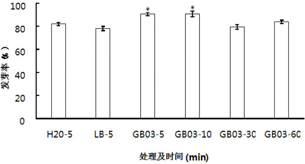 Method for improving germination rate of Puccinellia tenuiflora seed