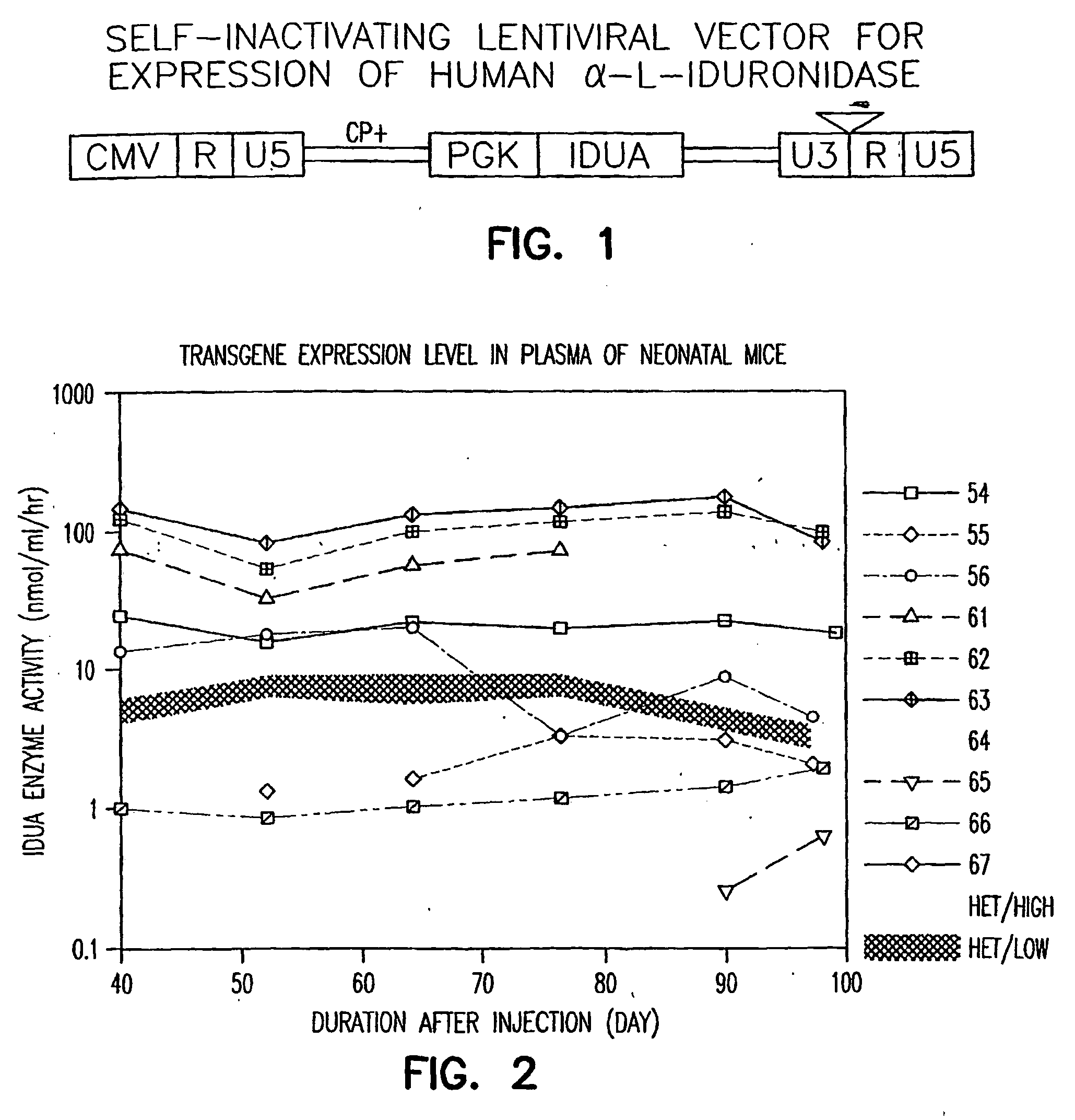 Methods of using vectors to treat metabolic disorders