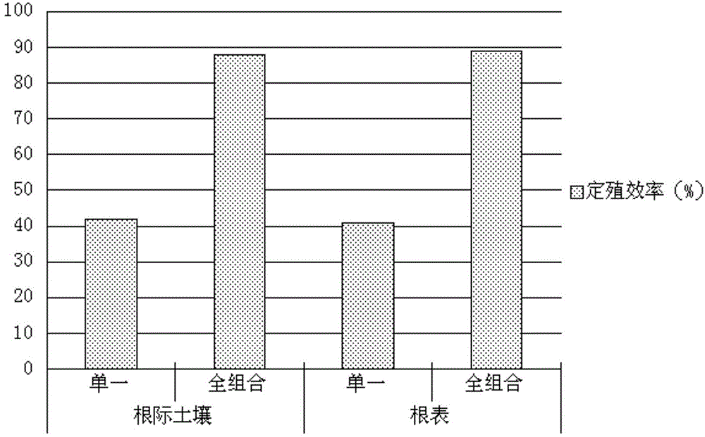 Biological trichoderma viride granule as well as preparation method and application thereof