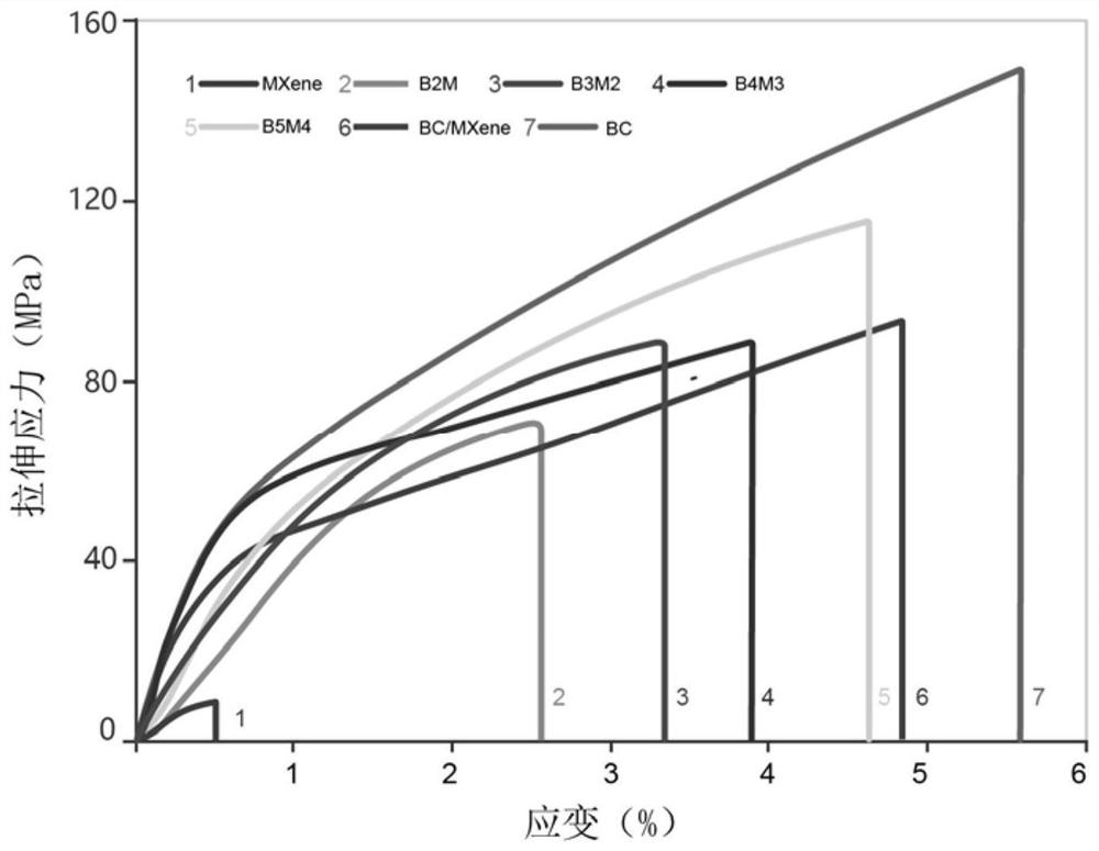 Composite electromagnetic shielding film and preparation method thereof