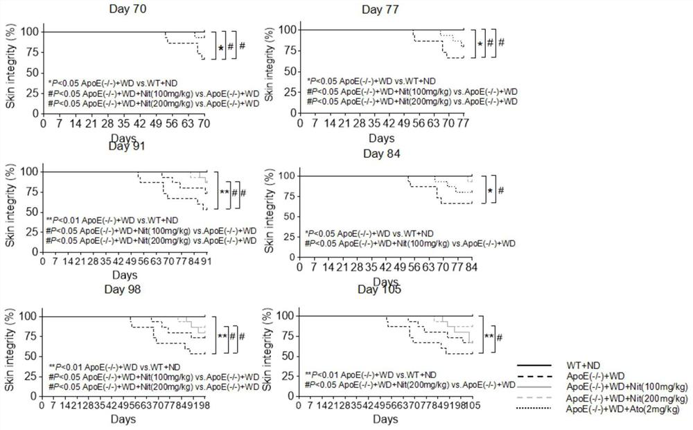 Use of nitazoxanide and in-vivo metabolite tizoxanide thereof in resisting psoriasis and psoriasis-like dermatitis