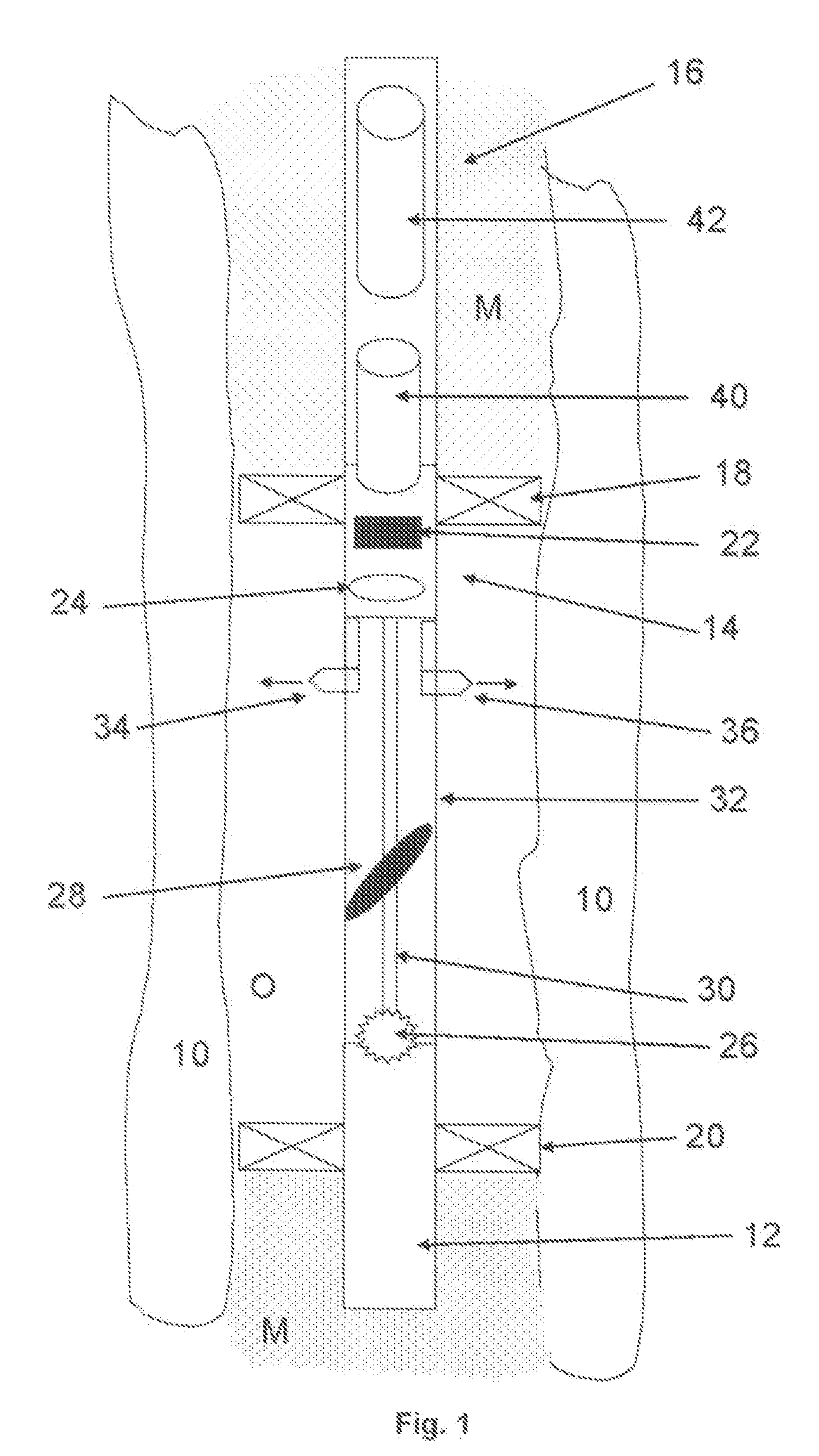 Apparatus and Method for Obtaining Images of a Borehole