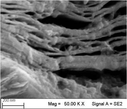 Preparation method of titanium carbide/zinc indium sulfide composite visible light photocatalyst