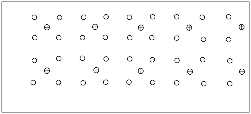 Composite planting method of chimonobambusa utilis and cortex phellodendri