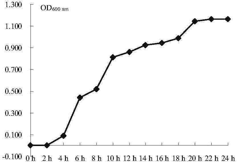 Rumen green fluorescent protein (GFP) genetically engineered bacterium and building method and application thereof