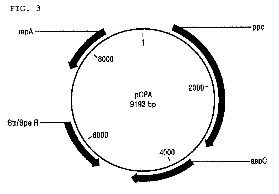 Recombinant microorganism producing quinolinic acid and a method for producing quinolinic acid using the same