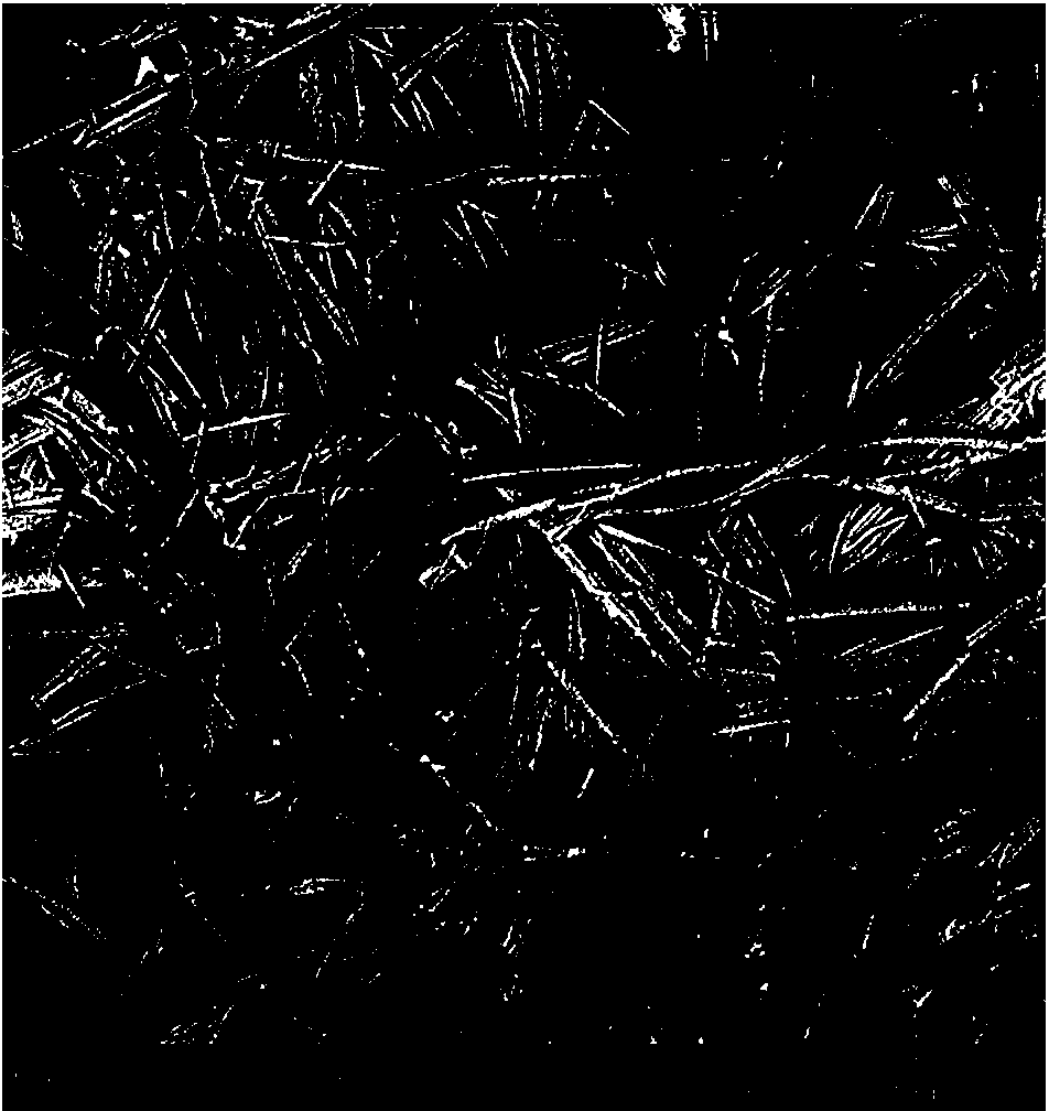 Synthetic method of aluminium nitride nanoparticles