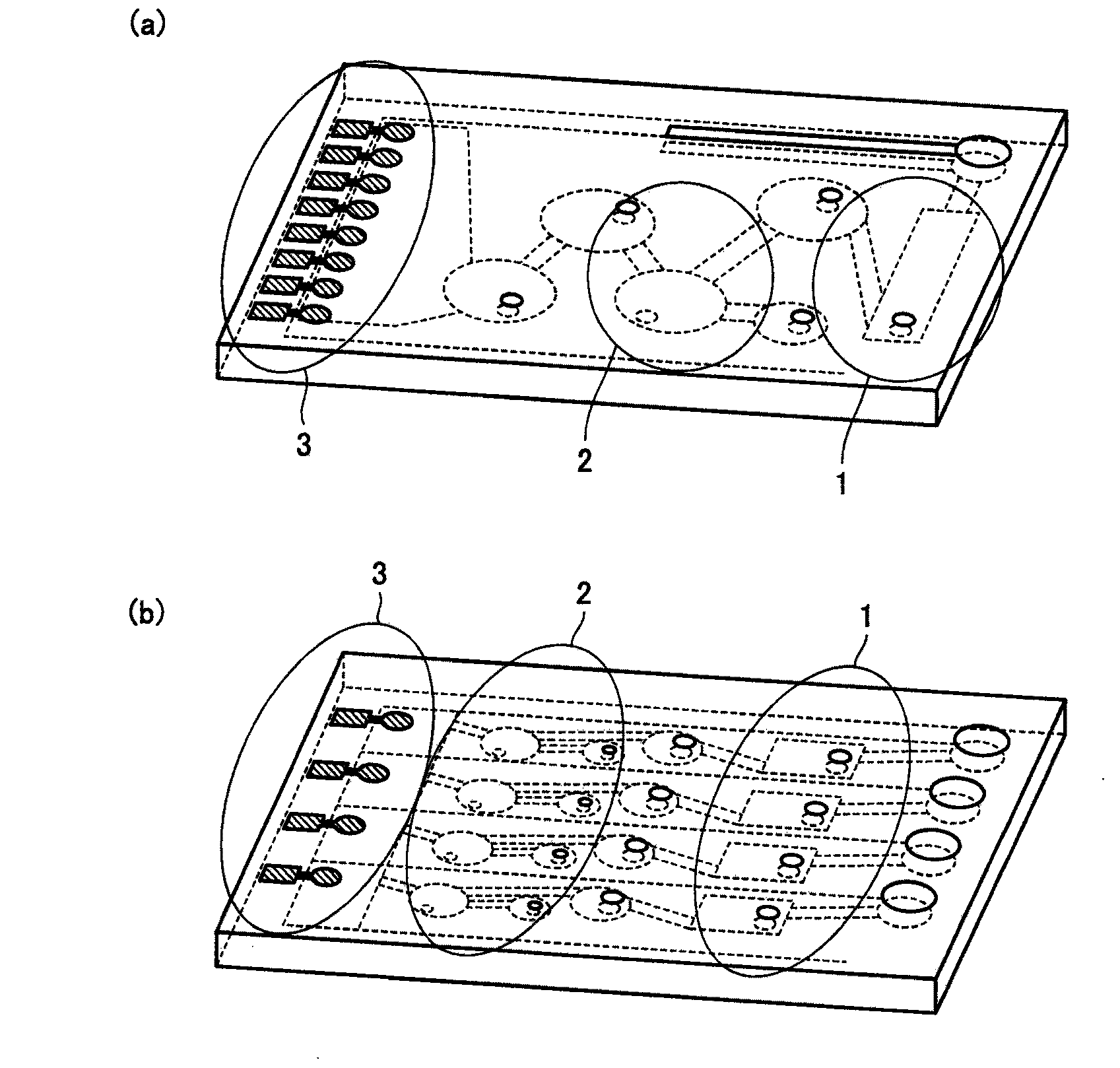 Separation purification method and microfluidic circuit