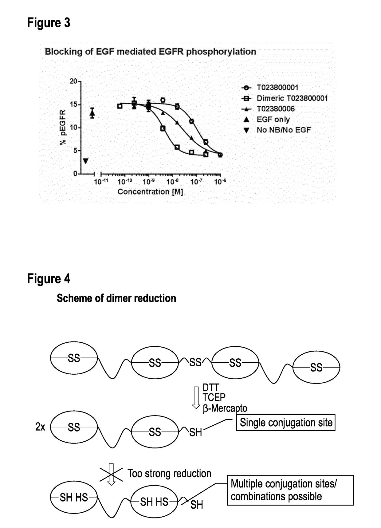 Cysteine linked nanobody dimers