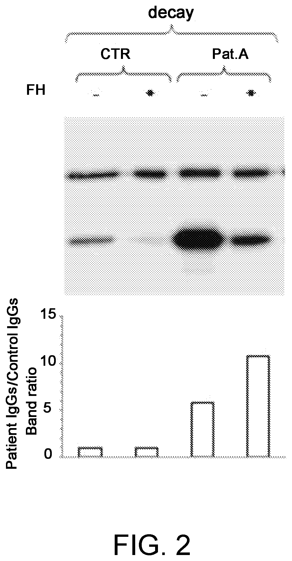 Method for the diagnosis of c3nef-mediated membranoproliferative glomerulonephritis