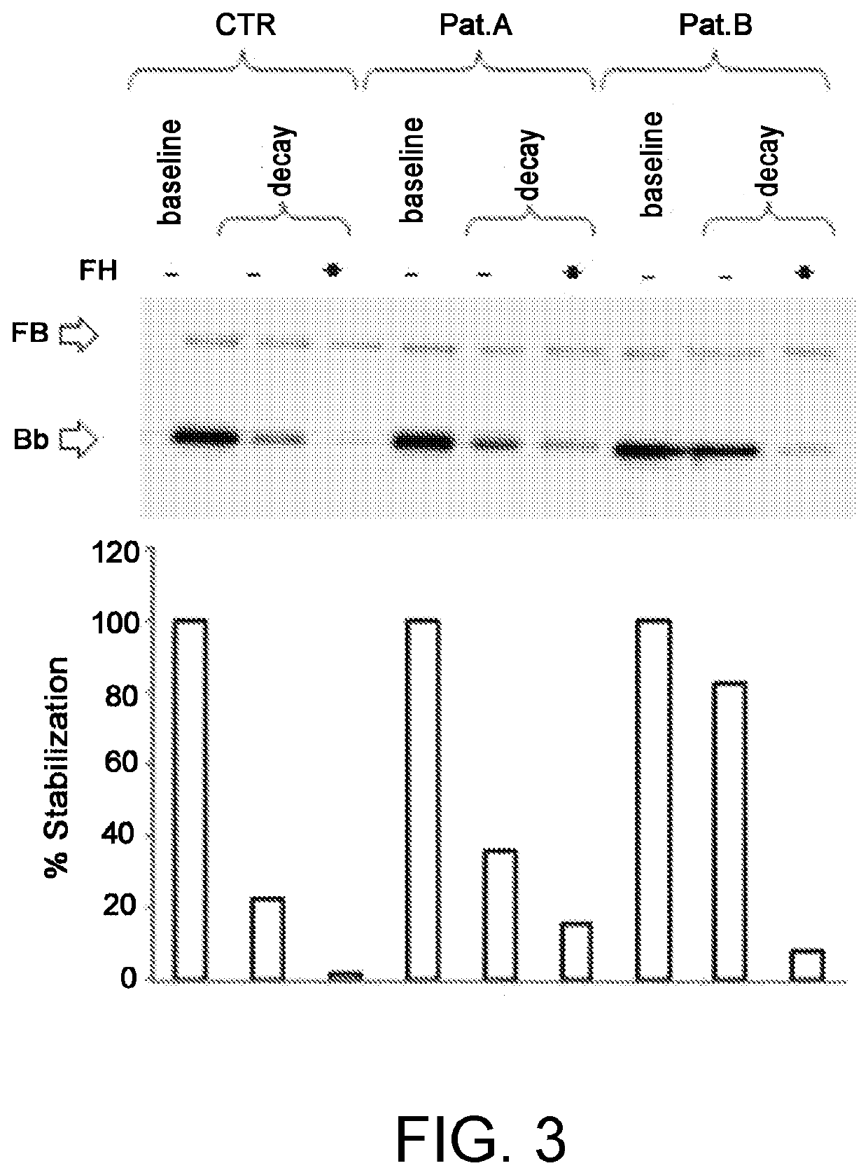 Method for the diagnosis of c3nef-mediated membranoproliferative glomerulonephritis