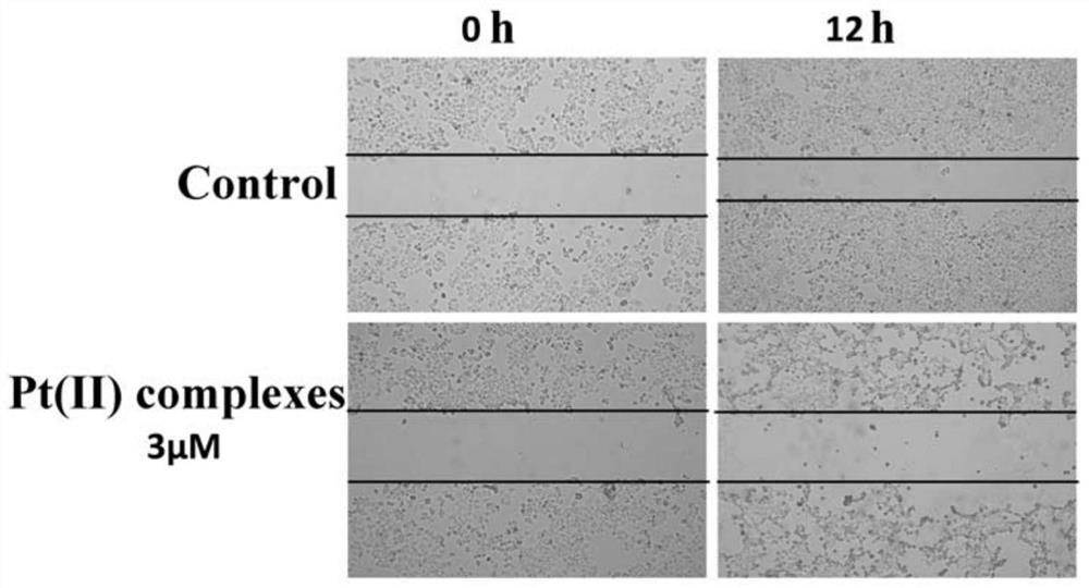 Synthesis method and application of o-vanillin Schiff base platinum complex